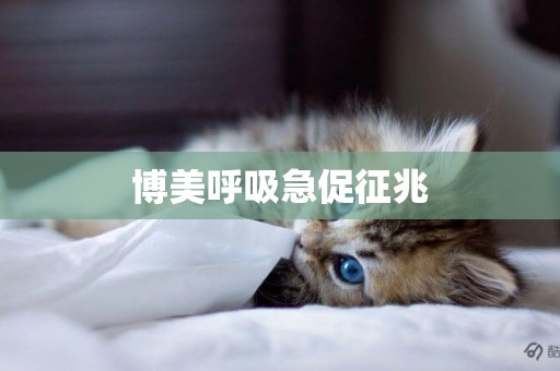 博美呼吸急促征兆