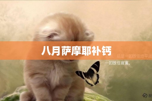 八月薩摩耶補鈣