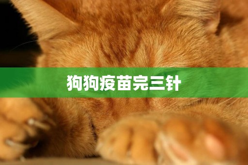 狗狗疫苗完三針