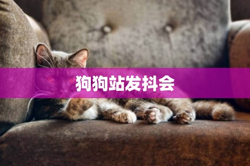 狗狗站發抖會