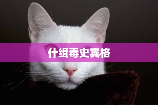 什緝毒史賓格