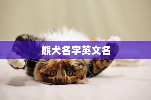 熊犬名字英文名