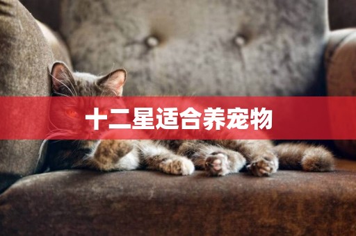 十二星適合養寵物