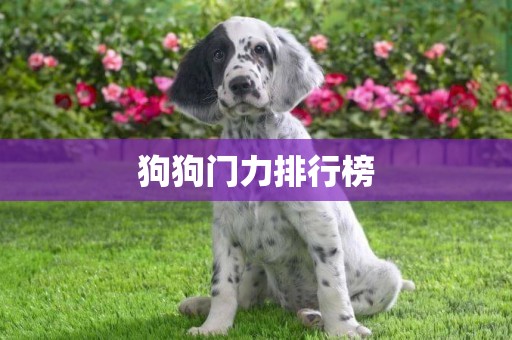 狗狗門力排行榜