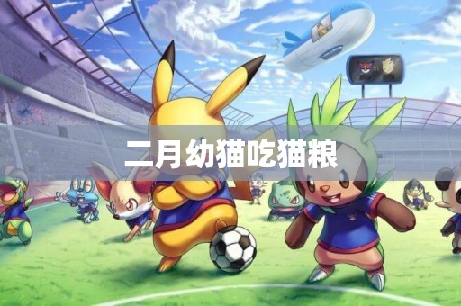 二月幼貓吃貓糧