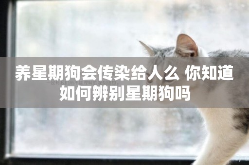 養星期狗會傳染給人么 你知道如何辨別星期狗嗎