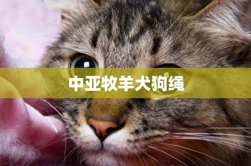 中亞牧羊犬狗繩