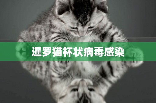 暹羅貓杯狀病毒感染