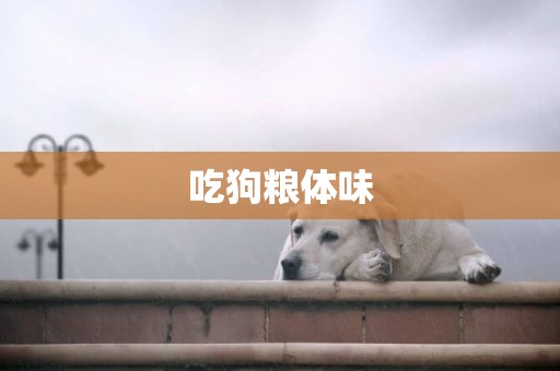 吃狗糧體味