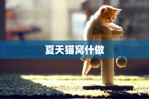 夏天貓窩什做