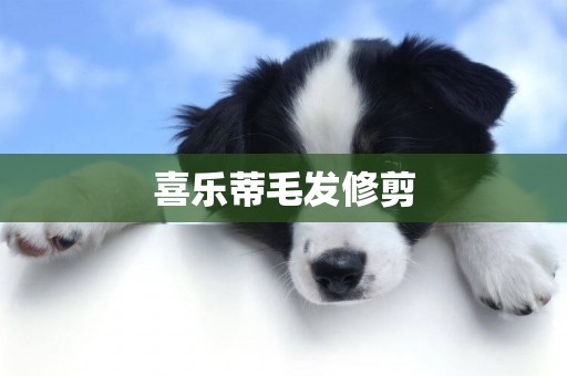 喜樂蒂毛發修剪