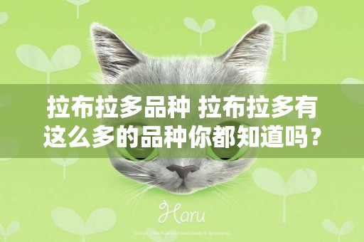 拉布拉多品種 拉布拉多有這么多的品種你都知道嗎？