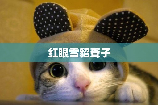 紅眼雪貂聾子