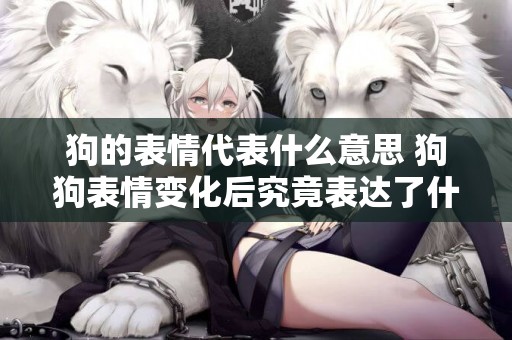 狗的表情代表什么意思 狗狗表情變化后究竟表達了什么