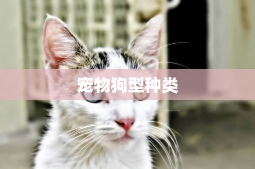 寵物狗型種類