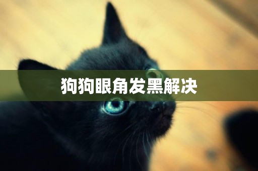 狗狗眼角發黑解決
