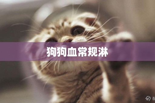 狗狗血常規淋