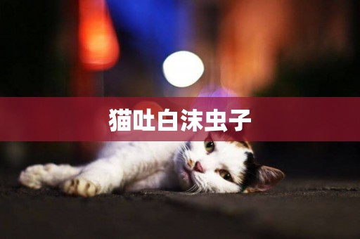 貓吐白沫蟲子
