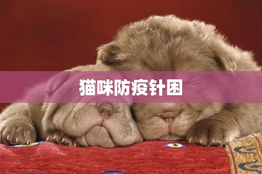 貓咪防疫針困