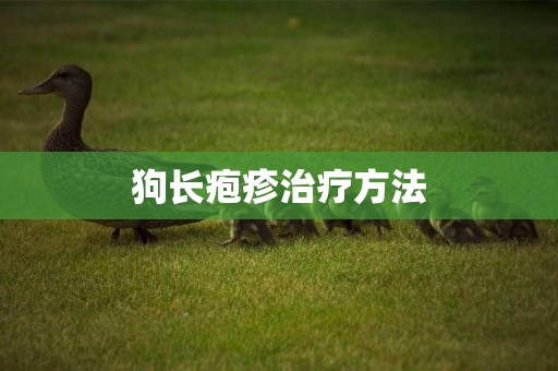 狗長皰疹治療方法