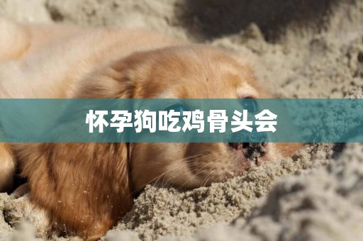 懷孕狗吃雞骨頭會