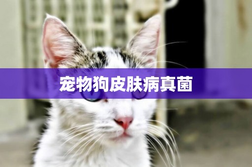 寵物狗皮膚病真菌