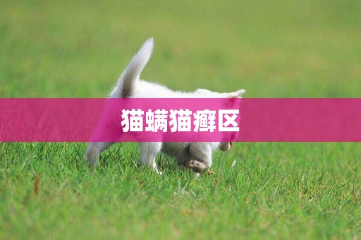 貓螨貓癬區