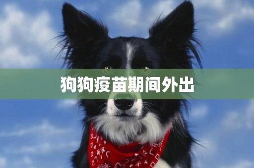 狗狗疫苗期間外出
