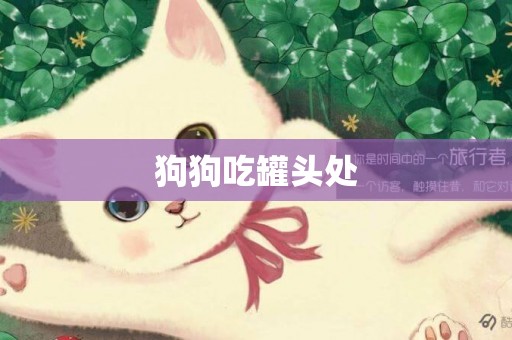 狗狗吃罐頭處