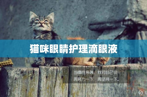 貓咪眼睛護理滴眼液