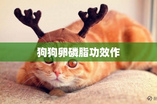 狗狗卵磷脂功效作