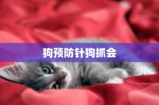 狗預防針狗抓會