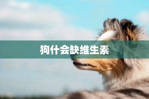 狗什會缺維生素