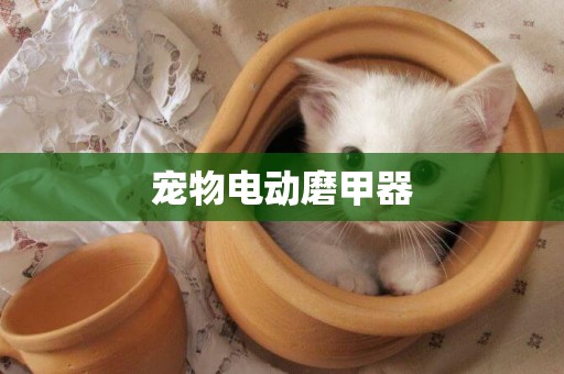 寵物電動磨甲器