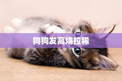 狗狗發高燒拉稀