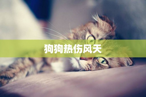 狗狗熱傷風天