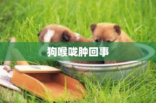 狗喉嚨腫回事
