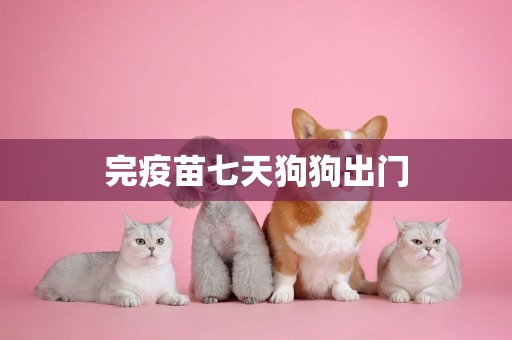 完疫苗七天狗狗出門