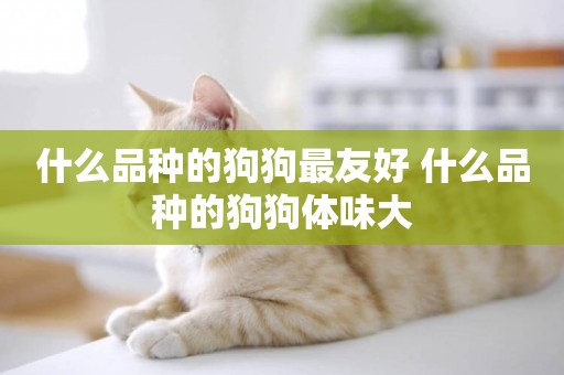 什么品種的狗狗最友好 什么品種的狗狗體味大