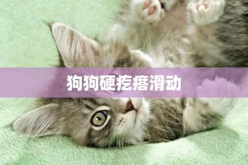狗狗硬疙瘩滑動