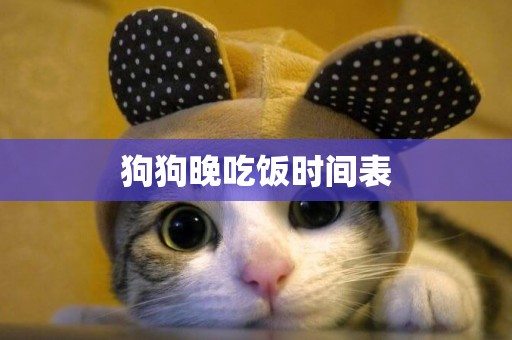狗狗晚吃飯時間表