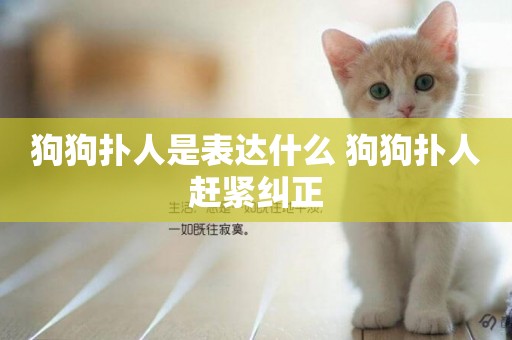 狗狗撲人是表達什么 狗狗撲人趕緊糾正