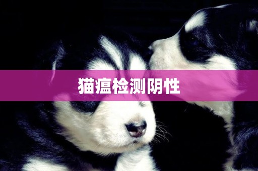 貓瘟檢測陰性