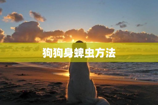 狗狗身蜱蟲方法