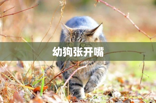 幼狗張開嘴