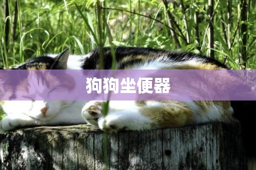 狗狗坐便器