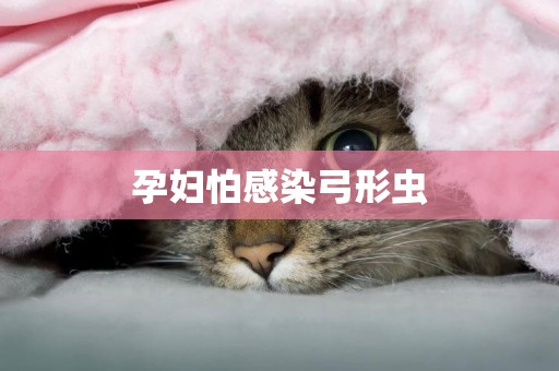 孕婦怕感染弓形蟲