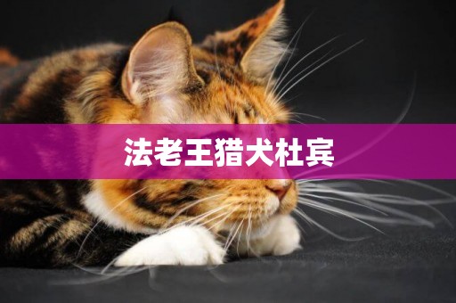 法老王獵犬杜賓