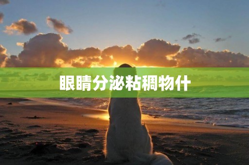 眼睛分泌粘稠物什