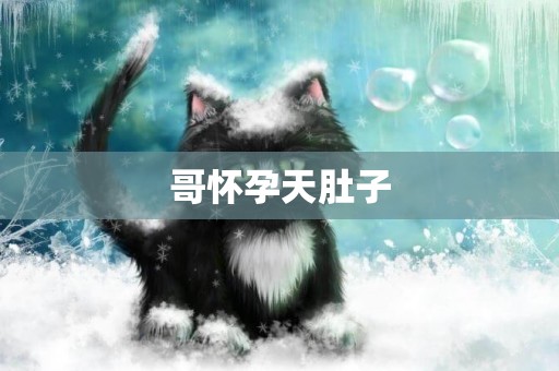 哥懷孕天肚子